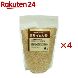 �܂���Ƒ唞(2kg×4�Z�b�g)�y���C�X�A�C�����h�z