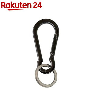 SWING XNGAt[ JriL[ ubN(1)