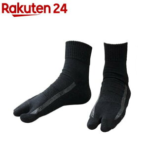 ACfBA OT|[ge[sOҌC M(1)yACfBAz