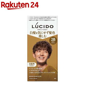 LUCIDO(ルシード) デザインヘアカラー モダンブラウン 白髪染め メンズ(1セット)【ルシード(LUCIDO)】
