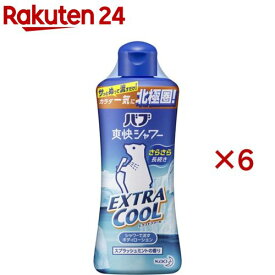 爽快バブシャワー エクストラクール(250ml×6セット)【爽快バブシャワー】