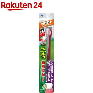 t 45xuV RpNg ӂ(1{)ytz[uV |Pbg̉ ^R΍]