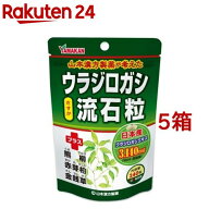 ウラジロガシ流石粒(250mg*240粒*5箱セット)【山本漢方】[サプリメント ウラジロガシエキス3140mg]