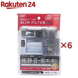 XtB^[ DC-X SS1(6Zbg)