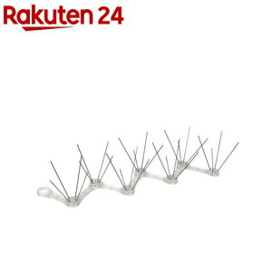 Y ZteB[3 hXpCN 50cm(1R)yZteB[3z