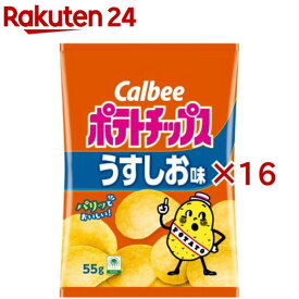 ポテトチップスうすしお味(55g×16セット)