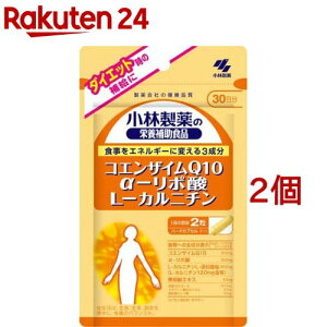 RGUCQ10 -|_L-Jj` 30(60*2RZbg)yѐ̉h{⏕Hiz