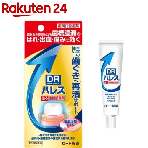 楽天市場 第3類医薬品 ハレス口内薬 15g Kenpo 11 ハレス 楽天24