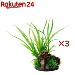 i ANALoX VyX(3Zbg)yiz