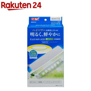 NALED GRIA[ p[ zCg(1)yNALEDz