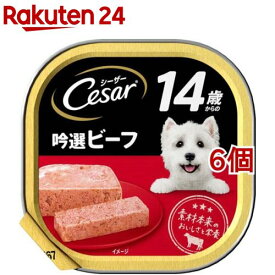 シーザー シニア用 14歳からの吟選ビーフ ドッグフード ウエット(100g*6個セット)【シーザー(ドッグフード)(Cesar)】[ドッグフード]