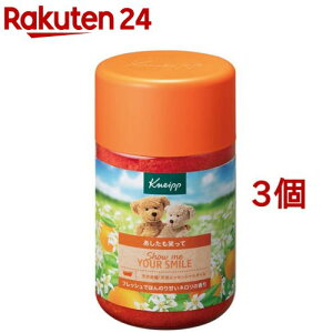 NiCv oX\g l̍(850g*3Zbg)yNiCv(KNEIPP)z