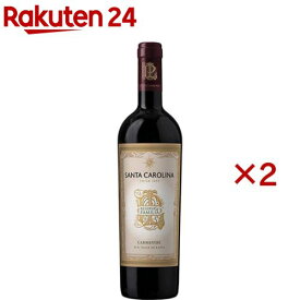 サンタ カロリーナ レセルヴァ デ ファミリア カルメネール 2018(750ml×2セット)【サンタ バイ サンタ カロリーナ】