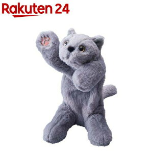 LOW(Kingjim) |[Y[ Pouzoo y|[` (PZ2020) lR(1)