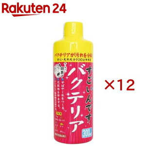 ł oNeA(300ml×12Zbg)