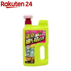 A[XK[f  A[X  ܂Ō͂炷 G΍(2L)yA[XK[fz