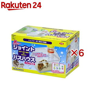 nX^[ WCgoXnEX pCvt(6Zbg)