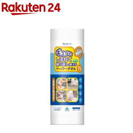繰り返し使えるペーパー(75カット)