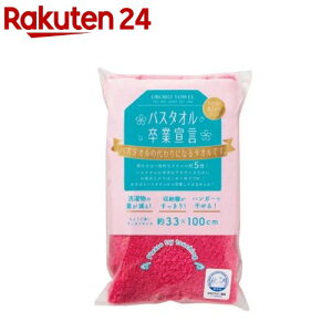 oX^IƐ錾 oX^I { sN 33*100cm(1)yoX^IƐ錾z