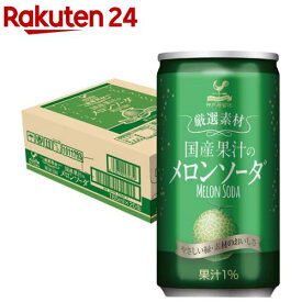 神戸居留地 厳選素材 国産果汁のメロンソーダ 缶(185ml*20本入)【神戸居留地】