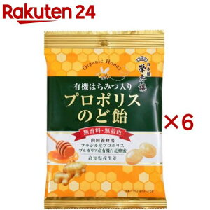 đ L@݂͂ v|X̂ǈ(60g×6Zbg)yđ`{݁z