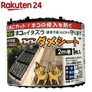 _V[g X 2m(2m)yDAIM(_C)z