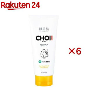  CHOI pWF痿 EьPA(110g×6Zbg)yz