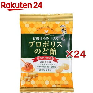 đ L@݂͂ v|X̂ǈ(60g×24Zbg)yđ`{݁z