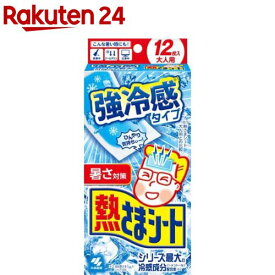 熱さまシート 強冷感 大人用(12枚入)