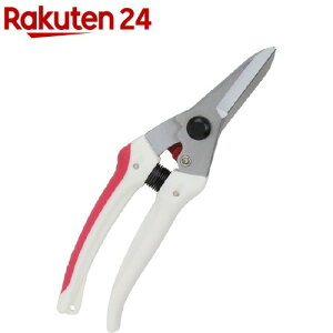 g K[fؙ TbN SGP-44(1R)ygz