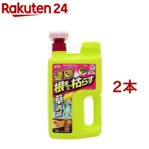 A[XK[f  A[X  ܂Ō͂炷 G΍(2L*2{Zbg)yA[XK[fz