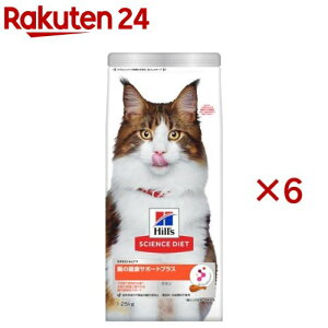 Lbgt[h L Lp 1΁` `L A_g ̌NT|[gvX hC(1.25kg×6Zbg)yqY TCGX_CGbgz[Lbgt[h VjA]