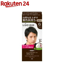 ルシード ワンプッシュケアカラー 6 ダークブラウン(50g+50g)【ルシード(LUCIDO)】[白髪染め]