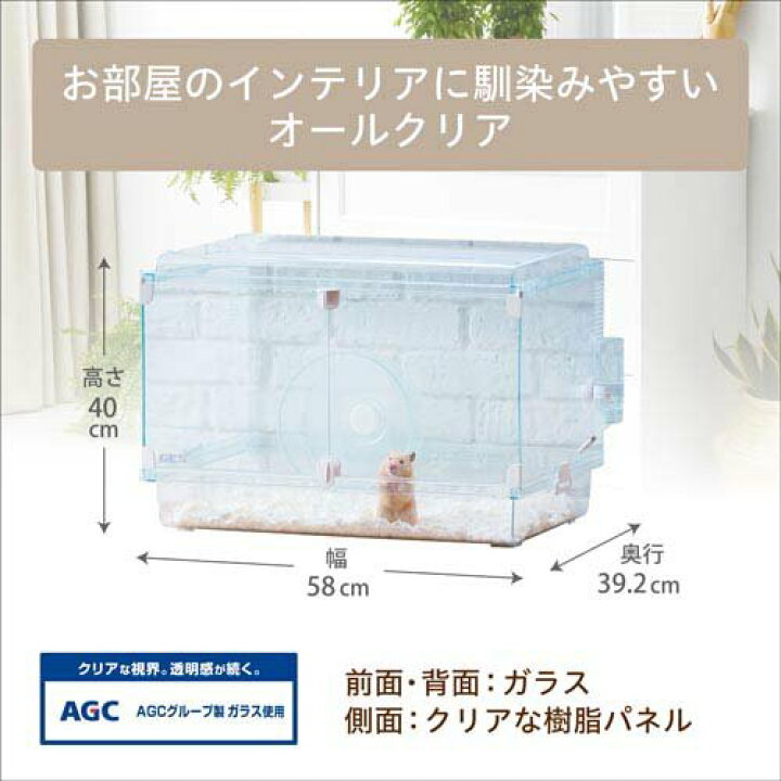 グラスハーモニー600plus❁直接受け渡し可能な方限定