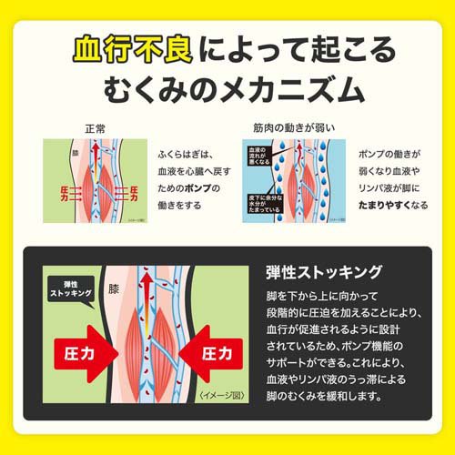 楽天市場 メディキュット リンパケア 弾性 着圧 スパッツ むくみケア Lサイズ 一般医療機器 1足 Mq08 メディキュット Qtto メディキュット スパッツ L 着圧 フットケア 楽天24