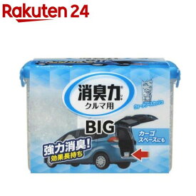 消臭力 クルマ用 置き型消臭剤 BIG ウォータリースカッシュ(900g)【消臭力】