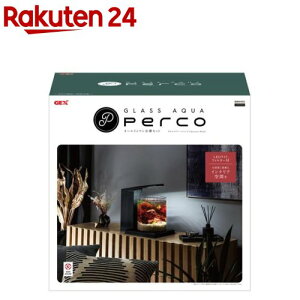 OXANA PERCO I[C C-Charcoal Black(1)