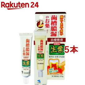 【第3類医薬品】小林製薬 生葉 口内塗薬(20g*5本セット)【生葉】