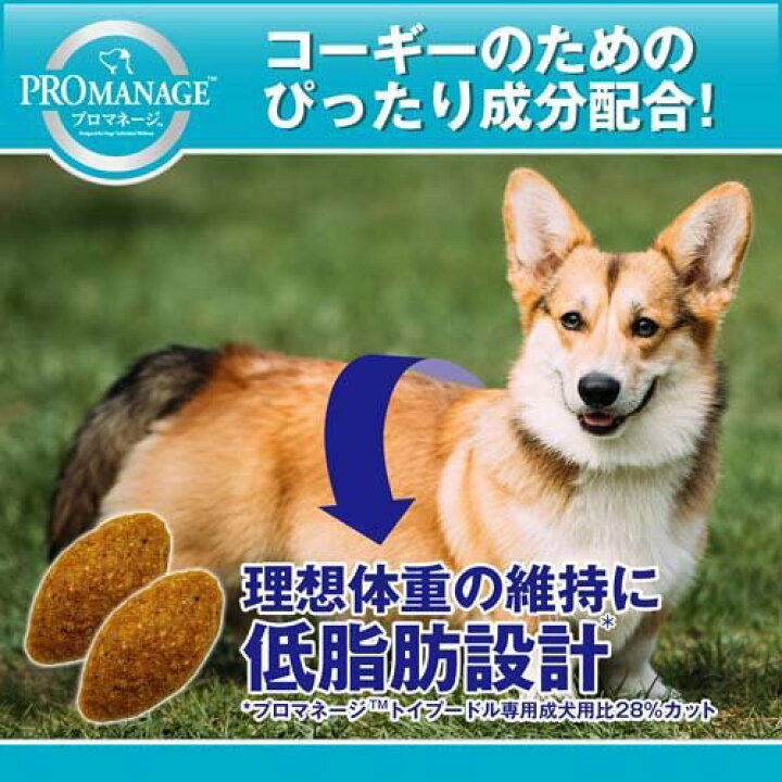楽天市場】プロマネージ 成犬用 ウェルシュ・コーギー・ペンブローク 