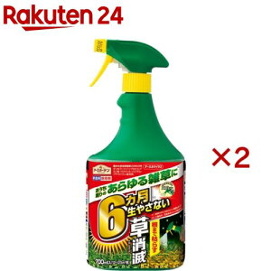 A[XK[f  A[XJ}CY  Xv[(700ml×2Zbg)yA[XK[fz