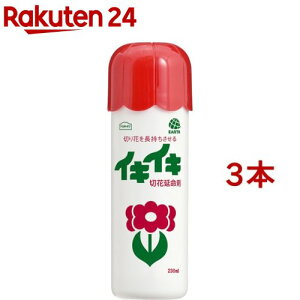 A[XK[f CLCL؉ԉ(230ml*3{Zbg)yA[XK[fz