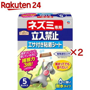 A[XK[f lY~p֎~ GTtSV[g(5×2Zbg)yA[XK[fz