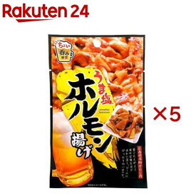 うま塩ホルモン揚げ(15g×5セット)