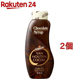 バンホーテン チョコレートシロップ 業務用(630g*2個セット)【バンホーテン】