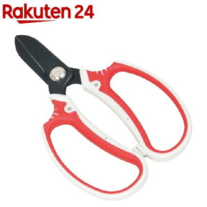 g fB[X SGP-31(1{)ygz