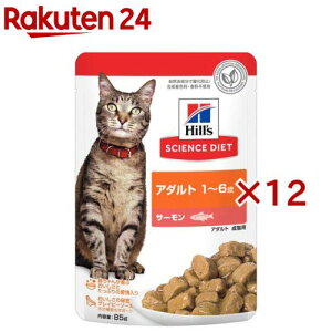 Lbgt[h 1`6 T[ pE`(85g×12Zbg)yqY TCGX_CGbgz[Lbgt[h EGbg A_g]