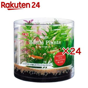 i {gvc ~ItB(24Zbg)yiz