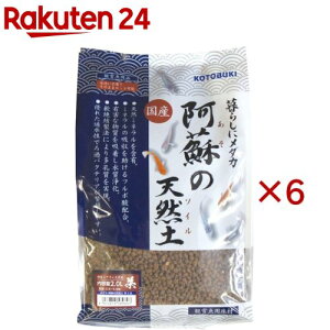 _J h̓VRy (2.0L×6Zbg)