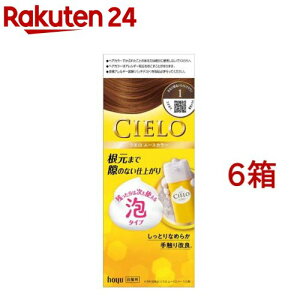 VG [XJ[ 1 Ȃ薾邢CguE(6Zbg)yVG(CIELO)z