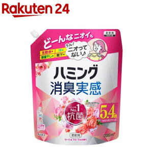 n~O L _ [Yt[̍ ߂p KTCY(2000ml)yn~Oz